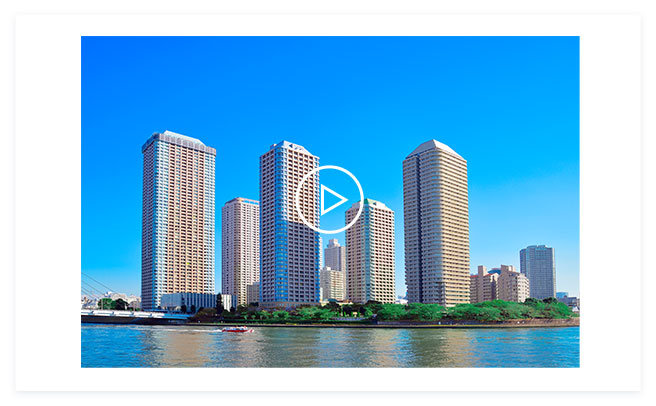 動画再生のサンプル画像
